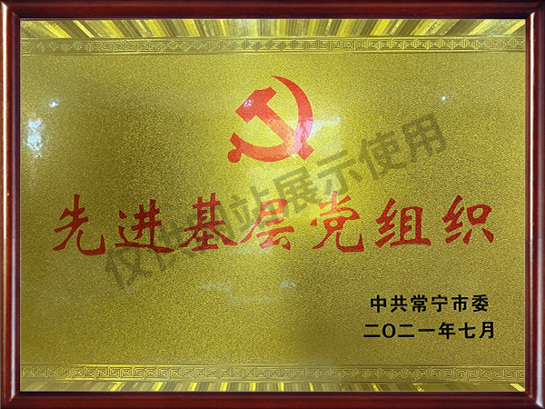 2021先進基層黨組織